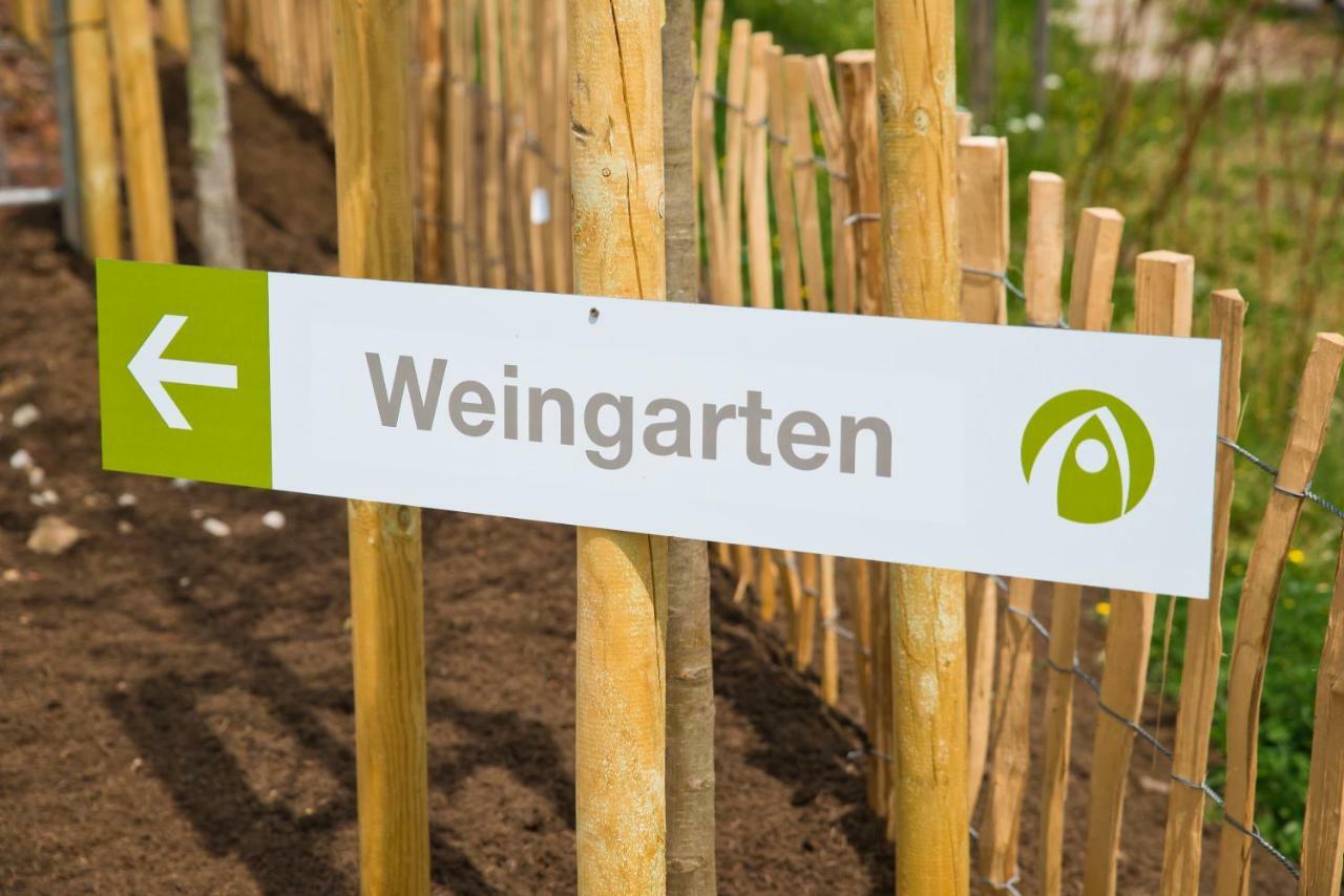 Glamping Resort Biosphaere Bliesgau 클라인블리터스돌프 외부 사진
